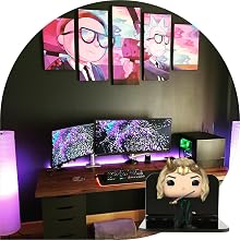 funko pop shelves