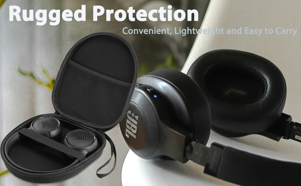 sony headphone case