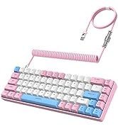 ZIYOU LANG RK-T8 Wired 65% Mechanical Gaming Keyboard with RGB LED Backlit Anti-ghosting TKL Mini...