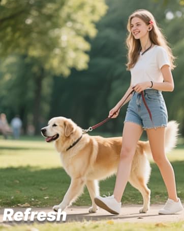https://m.media-amazon.com/images/S/aplus-media-library-service-media/7fcde21e-3fa4-4819-87fb-03c3dfb2f967.__CR298,0,719,900_PT0_SX362_V1___.png
