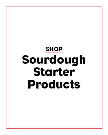 Brod and Taylor Innovative products Professional results bread baking sourdough pizza whisk proofer