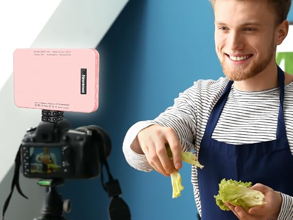 tiktok light