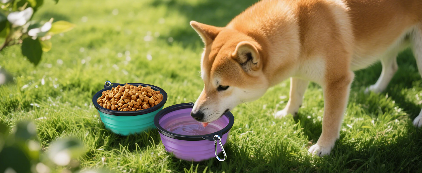 collapsible dog bowls