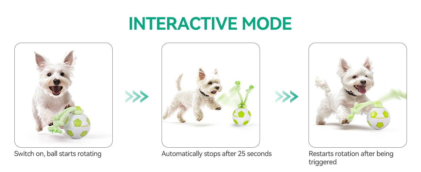 3227 dog ball