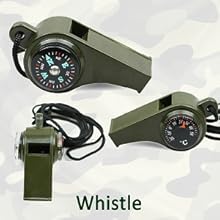 Whistle