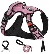 NESTROAD No Pull Dog Harness,Adjustable Oxford Dog Vest Harness with Leash,Reflective No-Choke Pe...