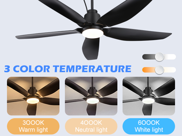 ceiling fan