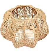 LUCORUSC Plug in Pendant Light Rattan Hanging Lamp