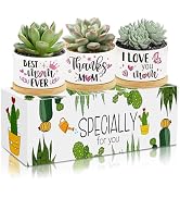 Tarklanda 3Pcs Gifts for Mom Best Mom Ever Succulent Pots Mini Ceramic Plant Pots with Bamboo Tra...