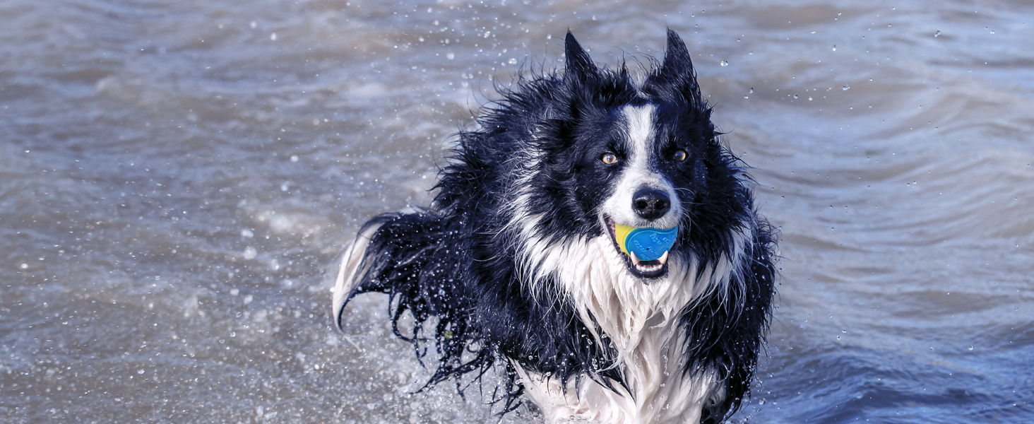 dog toys for aggressive chewers