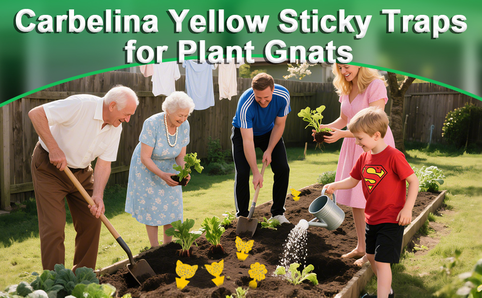 Yellow Sticky Traps for Plant Gnats