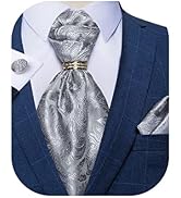 DiBanGu Paisley Ascot Ties for Men Silk Woven Cravat Tie and Pocket Square Cufflinks Set with Tie...