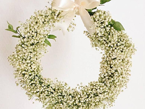 baby breath flowers