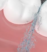 Replacement Brush Heads for Waterpik Sonic Fusion 2.0 Flossing Toothbrush with Cover, Compact, 3 ...