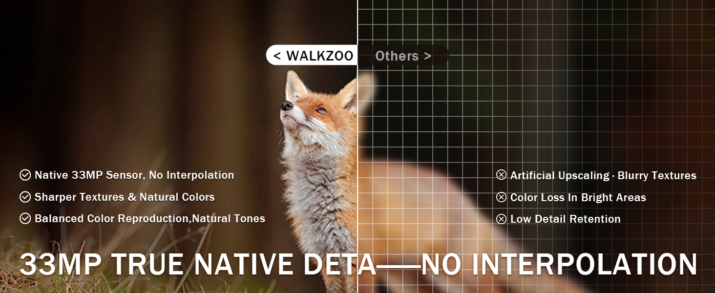 cellular trail camera