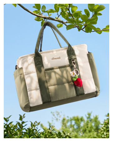 lunch bag for women