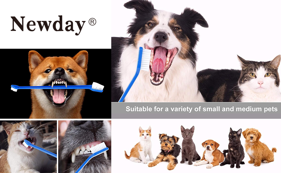 dog toothbrush