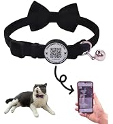 THAIN Personalized Cat Collar