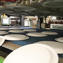 paper plates 9 10 disposable plastic chinet stackman dixie bamboo heavy duty eco bamboo friendly