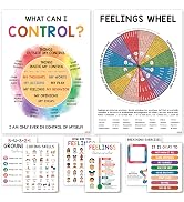 6 Pcs Mental Health posters (11"x17") Therapy Office Decor, Feeling Wheel Poster, What Can I Cont...