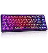 CHICHEN 60% Portable Mechanical Gaming Keyboard,Hot-swappable RGB Backlit Compact 68 Clear Keycap...