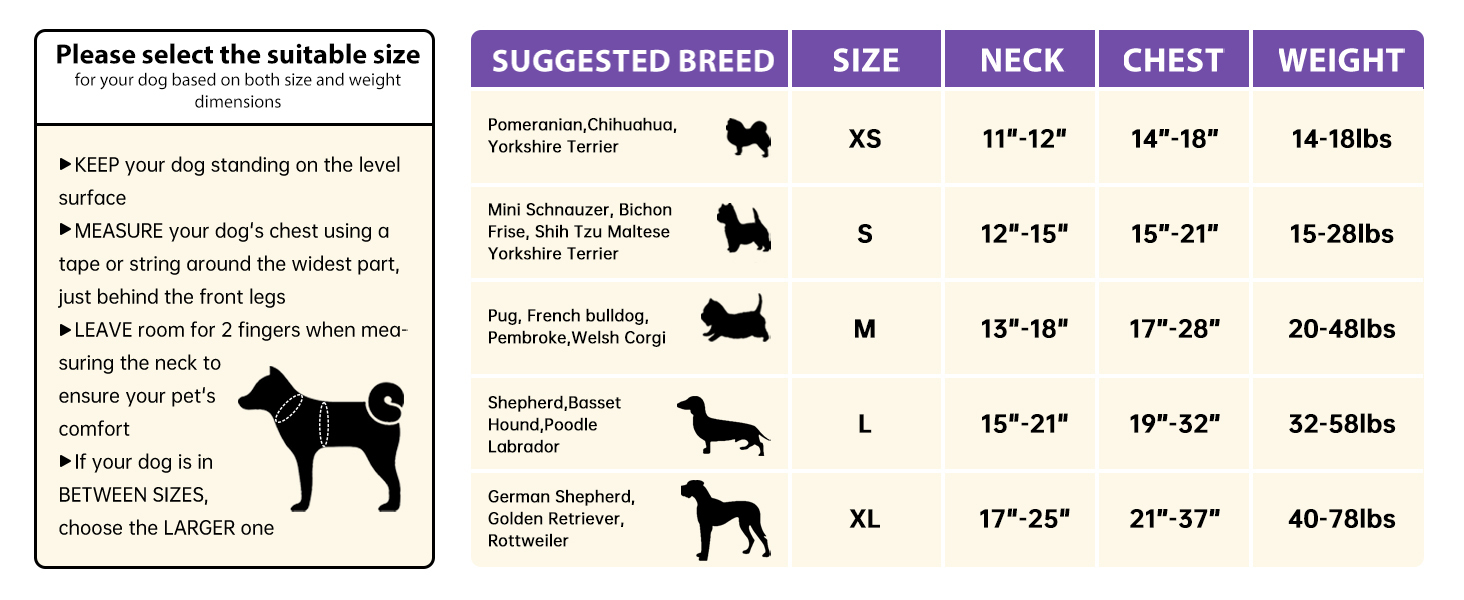 dog harness