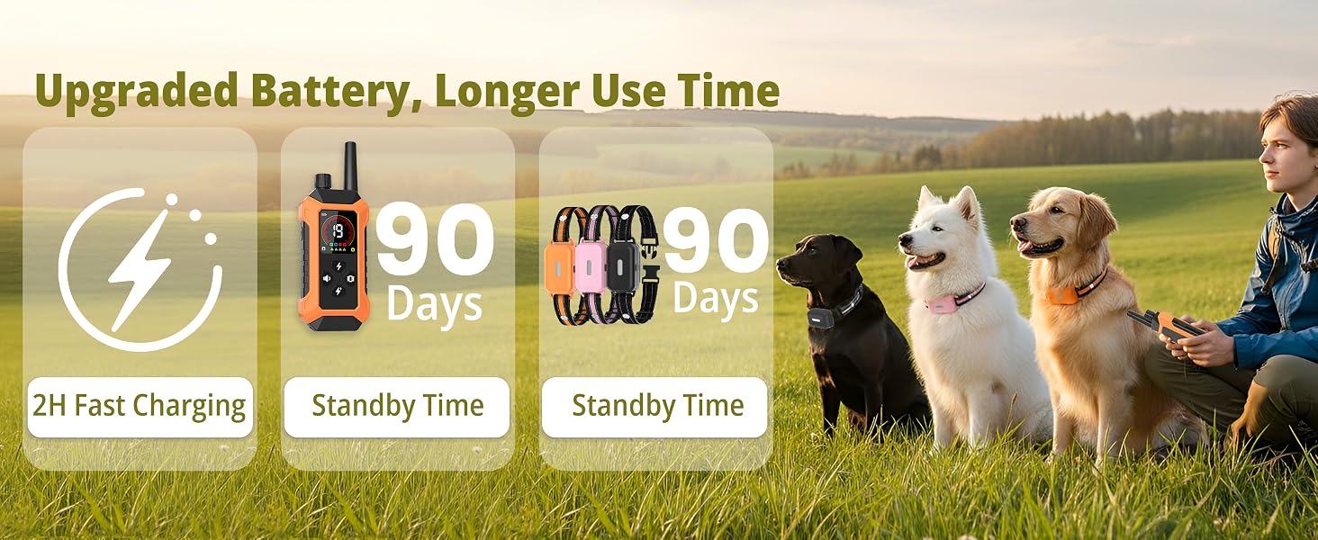 charging dog collars for 3 dogs