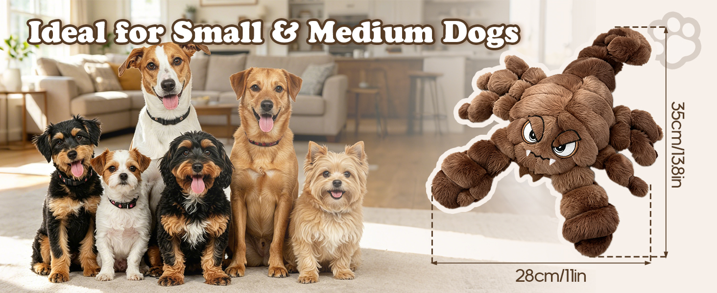 Squeaky Interactive Toys for Small Medium Dogs