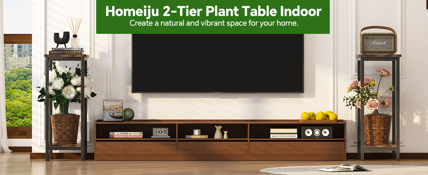plant table indoor