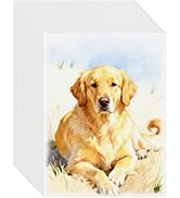 120 Sheets Cold Press Watercolor Paper 8.5x11 Inch, 140lb/300GSM Heavyweight Natural Cotton Artis...