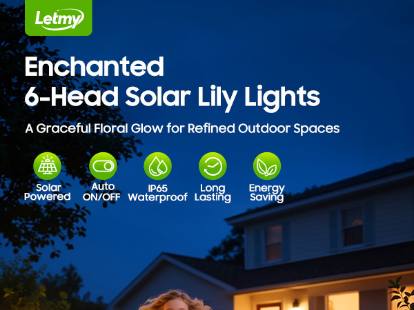 solar lights outdoor pathway