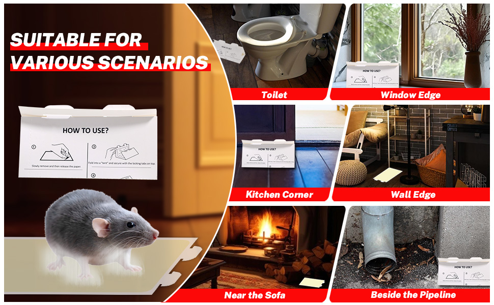 Mouses Traps