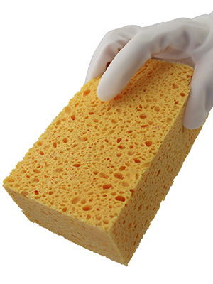 Kitchen Sponges