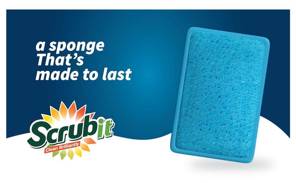 Blue dish sponge
