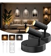 GOODEA Spotlights Indoor with Remote, 5500mAh Rechargeable Battery Plant Spotlight Indoor, Wirele...