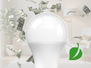 light bulb with remote control