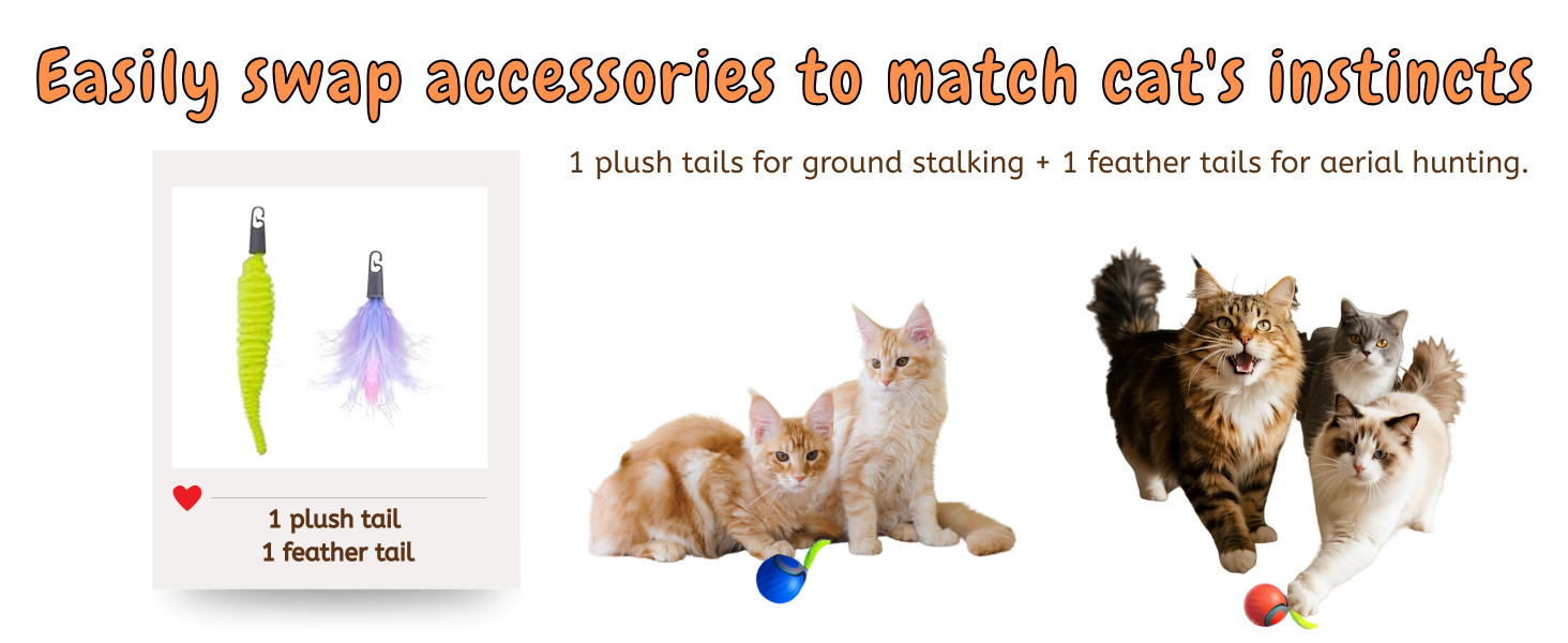cat toy