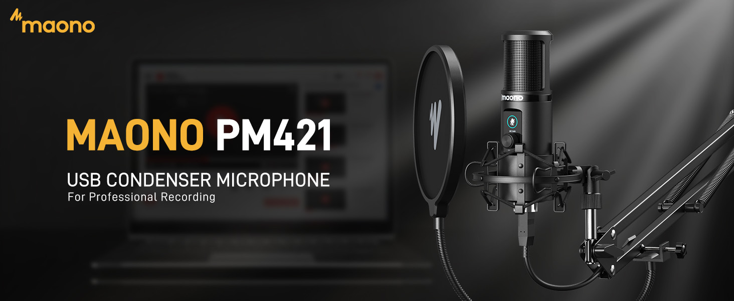 condenser microphone