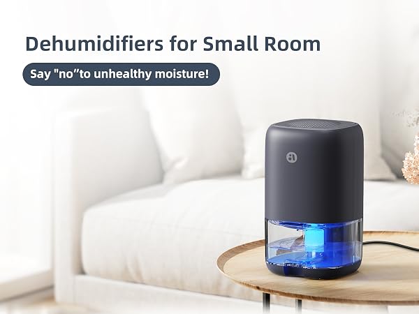 Small Dehumidifier