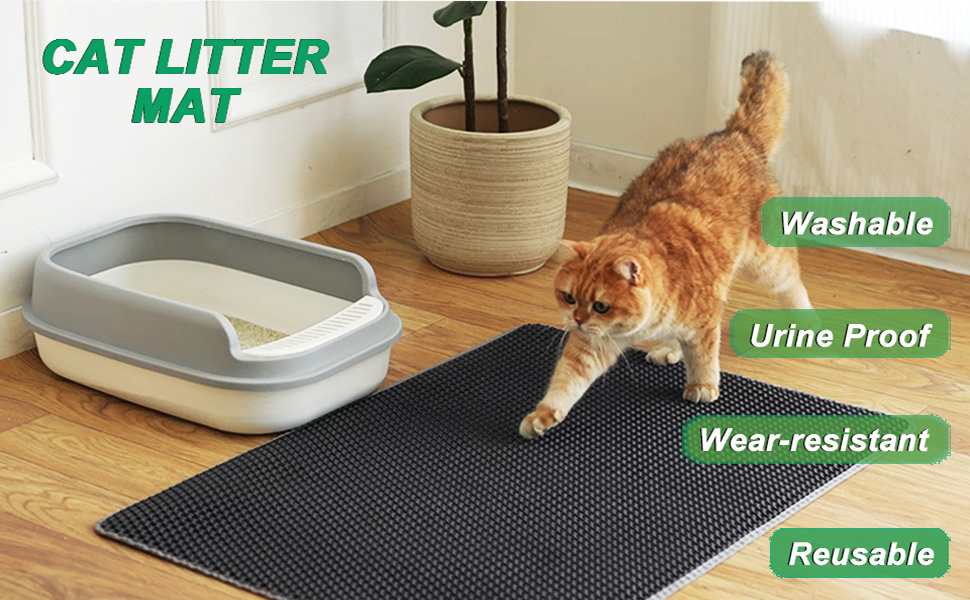 cat litter mat-1