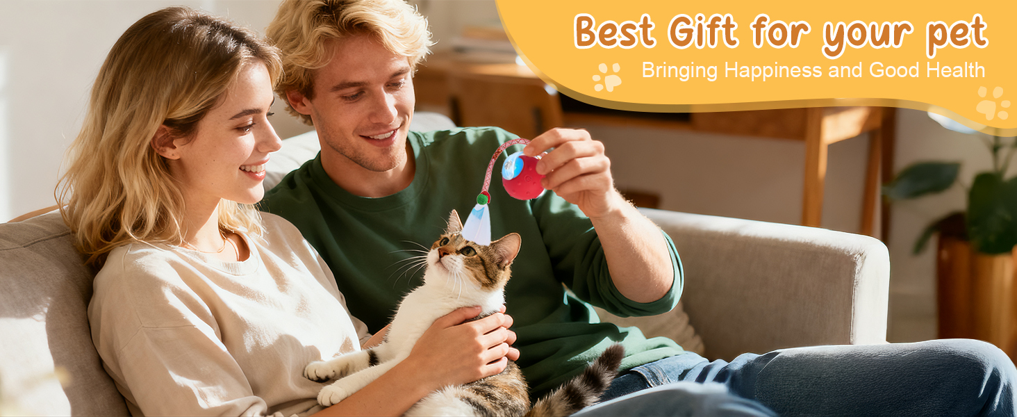 best cat toys for bored indoor cats