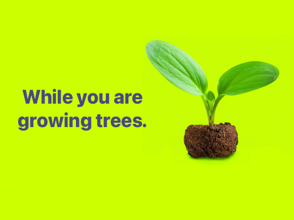 Plant Trees With Your Purchase