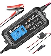 ECO-WORTHY 12V 5A Battery Charger for Lead Acid, Lithium (LiFePO4) Battery | Smart Automatic Main...