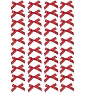 40Pcs Red Ribbon Hair Bows & Barrettes - Mini Bow Hairpins & Alligator Clips for Girls, Toddlers ...