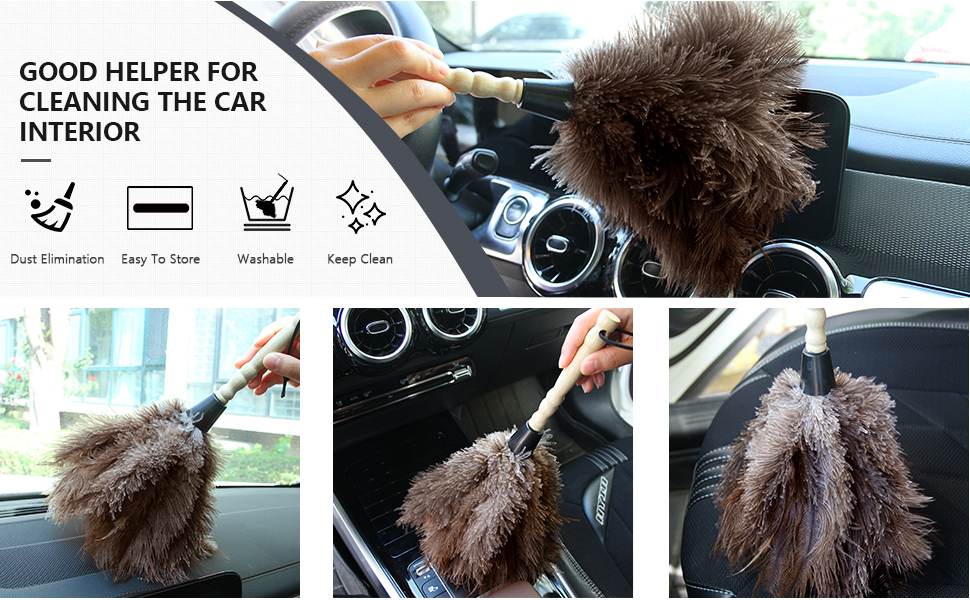 ostrich feather duster