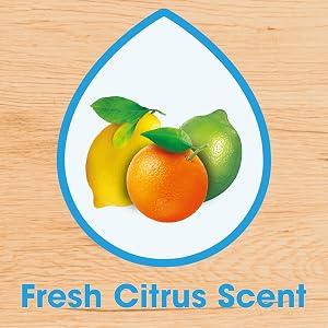 Fresh Citrus Scent