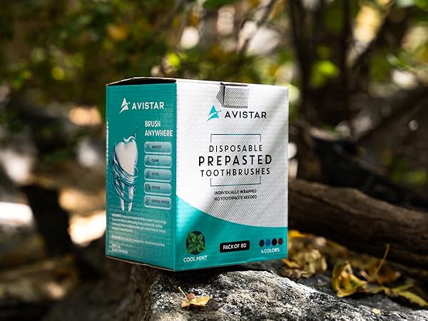 Prepasted Disposable Toothbrushes
