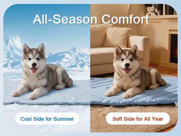 All-Season Comfort