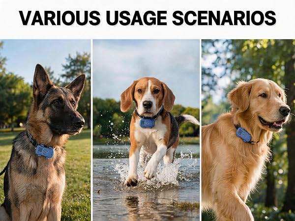 tracker for dogs6