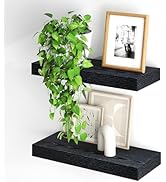 Fun Memories Floating Shelves for Wall, 20Inch Floating Shelves Set of 2, Hanging Shelf with Invi...